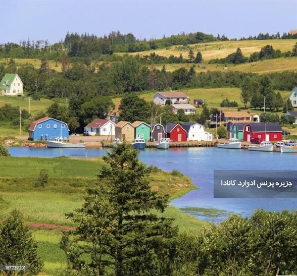 چه کسانی از طریق برنامه جزیره پرنس ادوارد مقیم کانادا می شوند