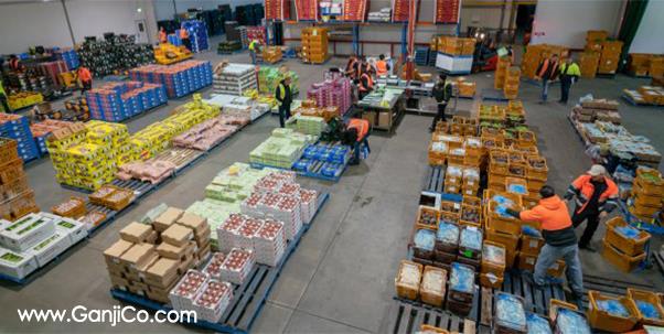  شرکت صادرات میوه