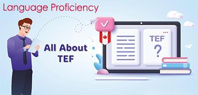 مدرک تف فرانسه TCF