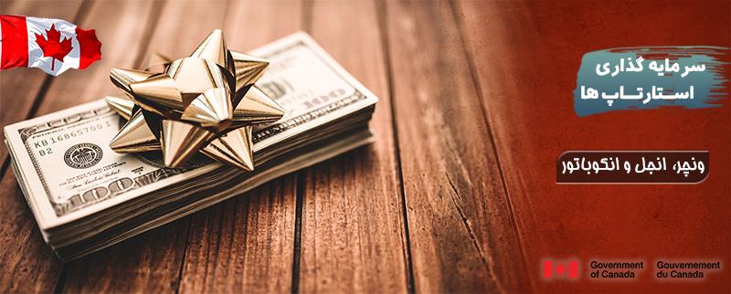 نمونه طرح استارت آپ کانادا