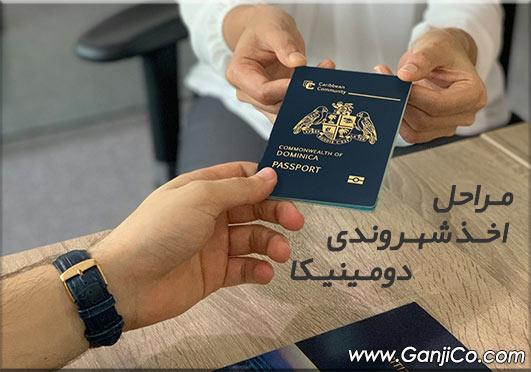 مراحل و شرایط دریافت پاسپورت دومینیکا